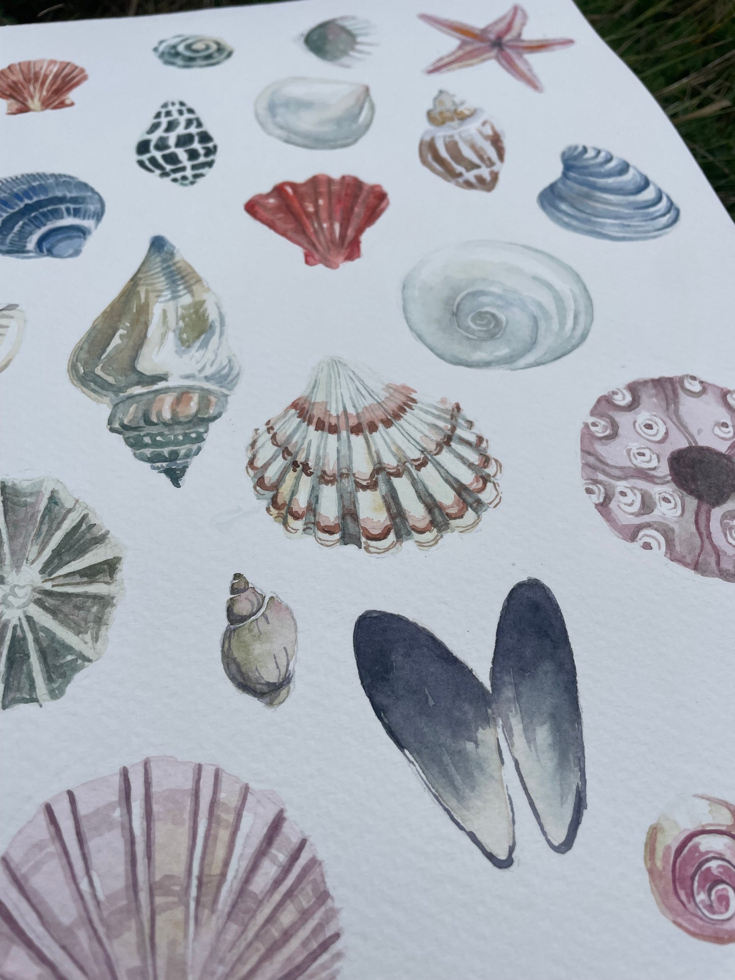 Shells ~ neutral