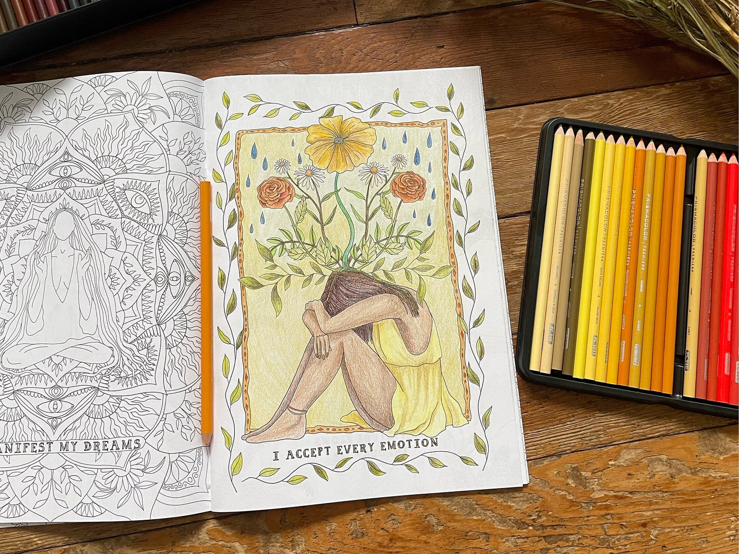 Wild Women Colouring Book