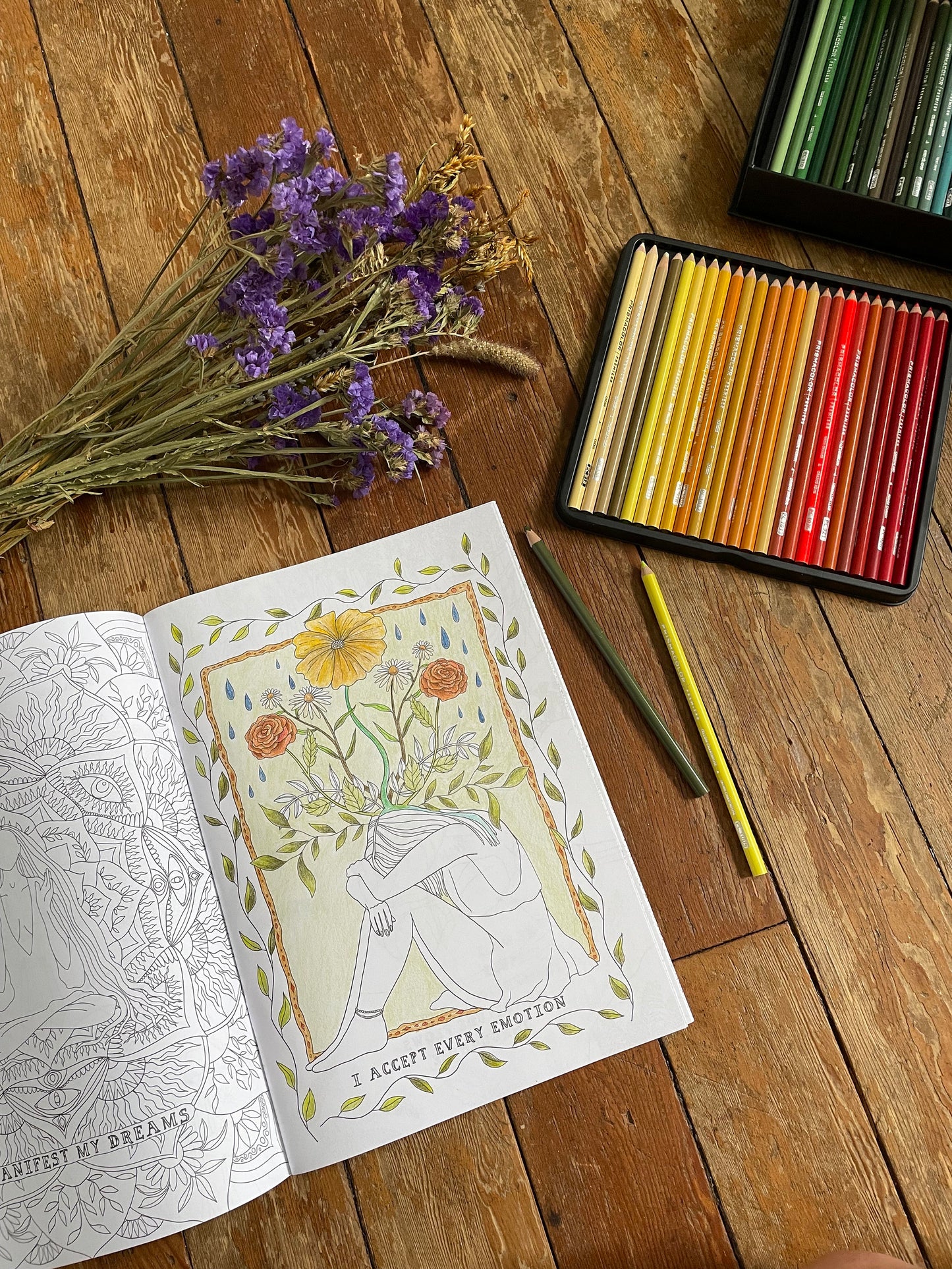 Wild Women Colouring Book