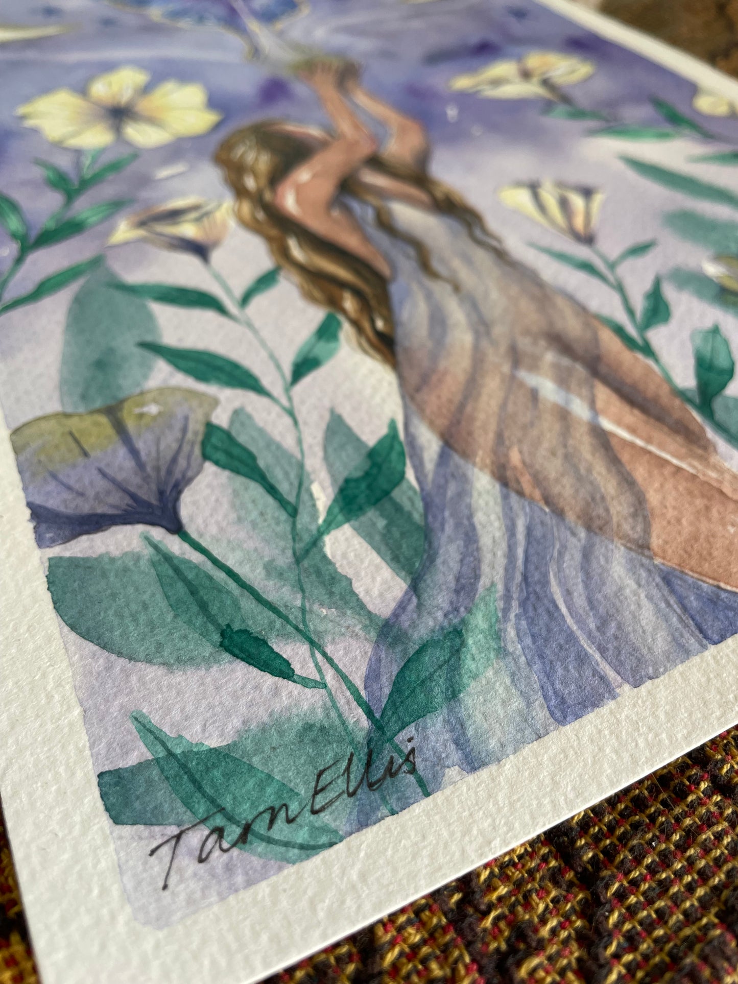 Butterfly spirit
