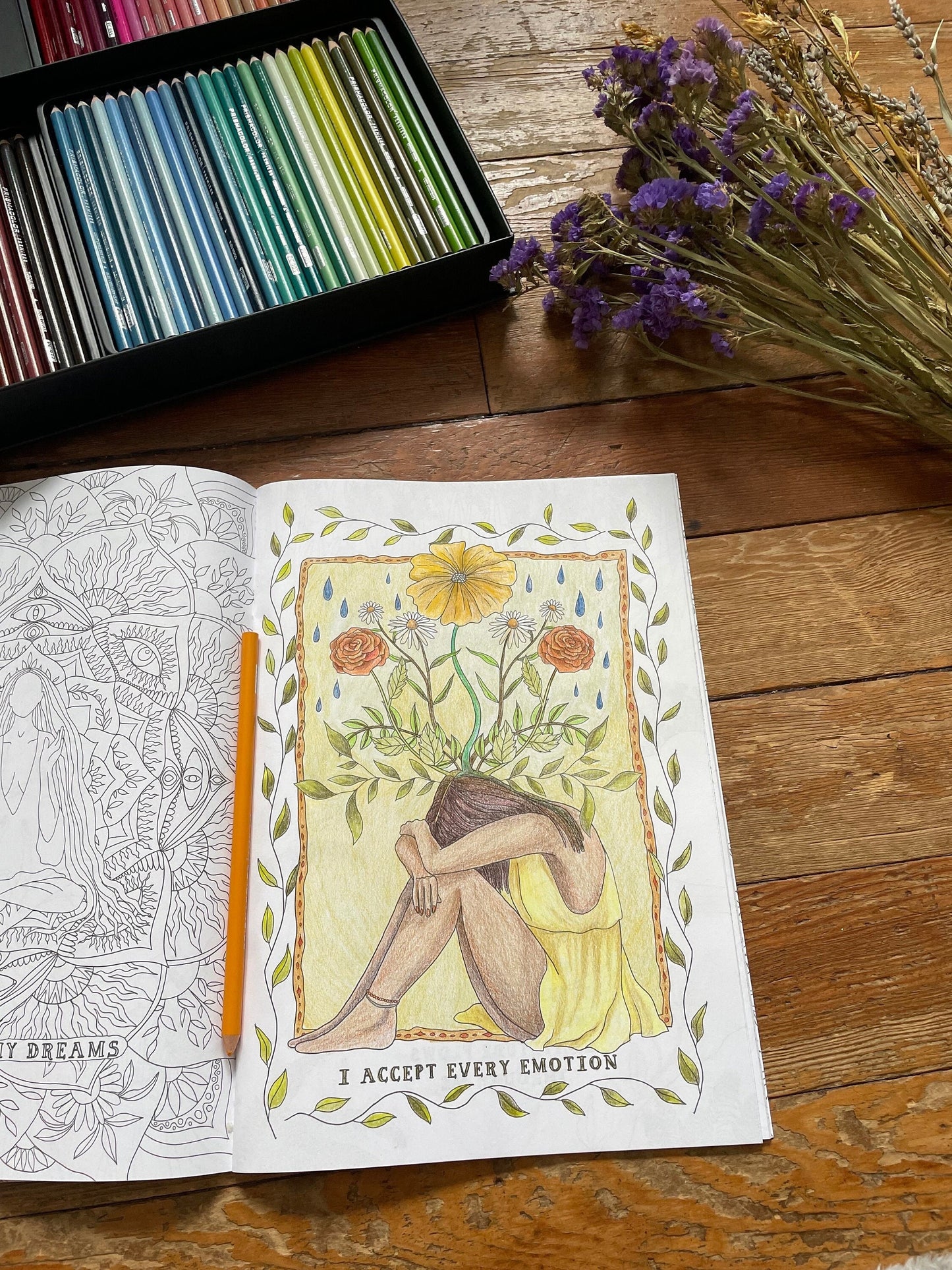 Wild Women Colouring Book