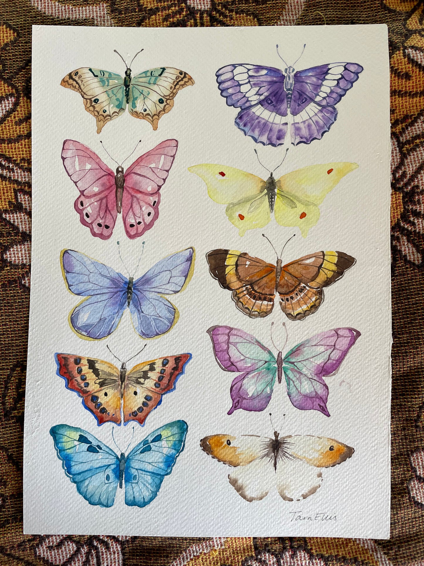 Butterflies
