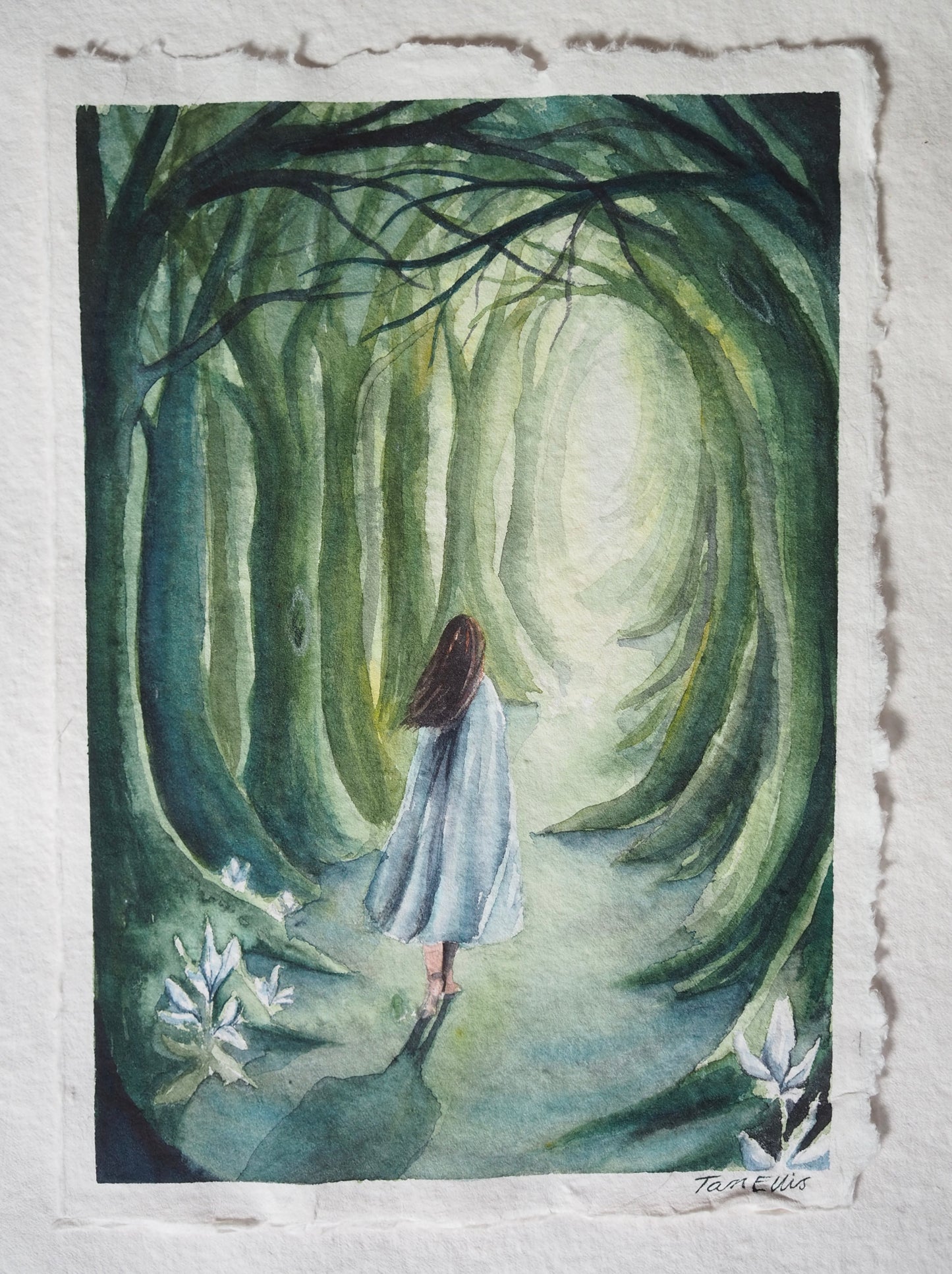 Woodland Portal