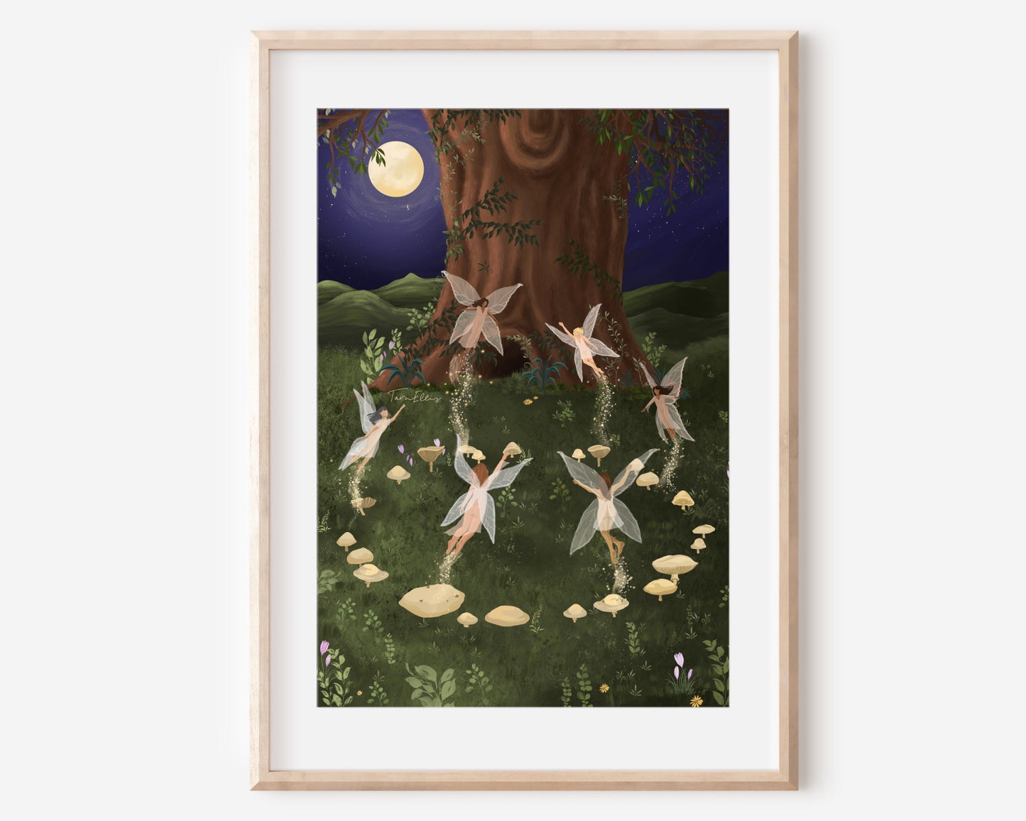 Fairy Ring