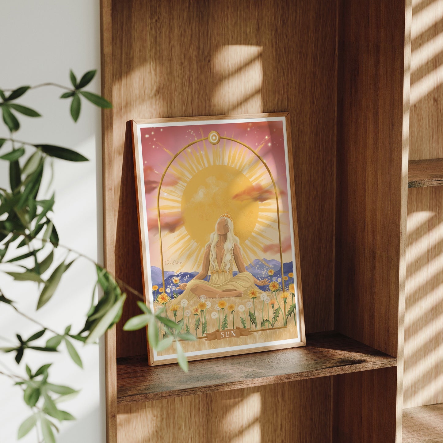 Sun