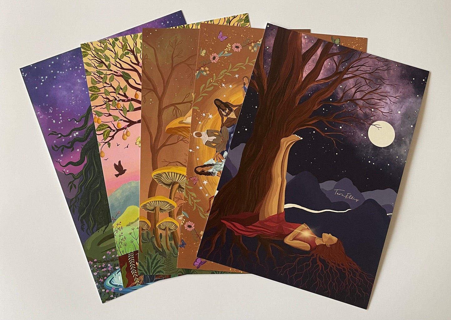 The Earth Collection