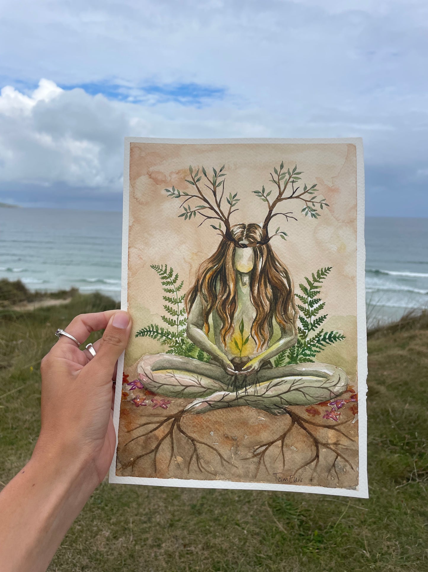 Rooted