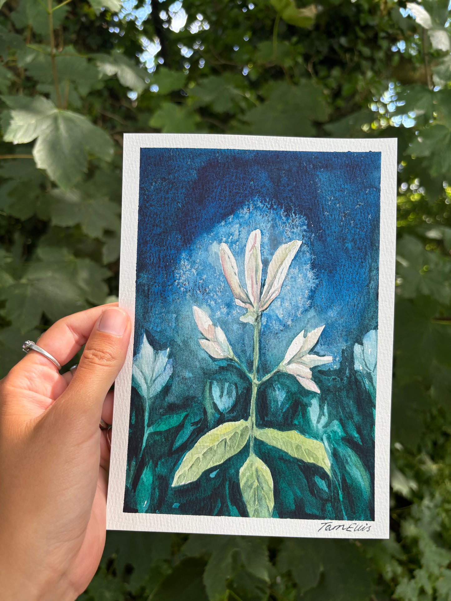 Energy of flower