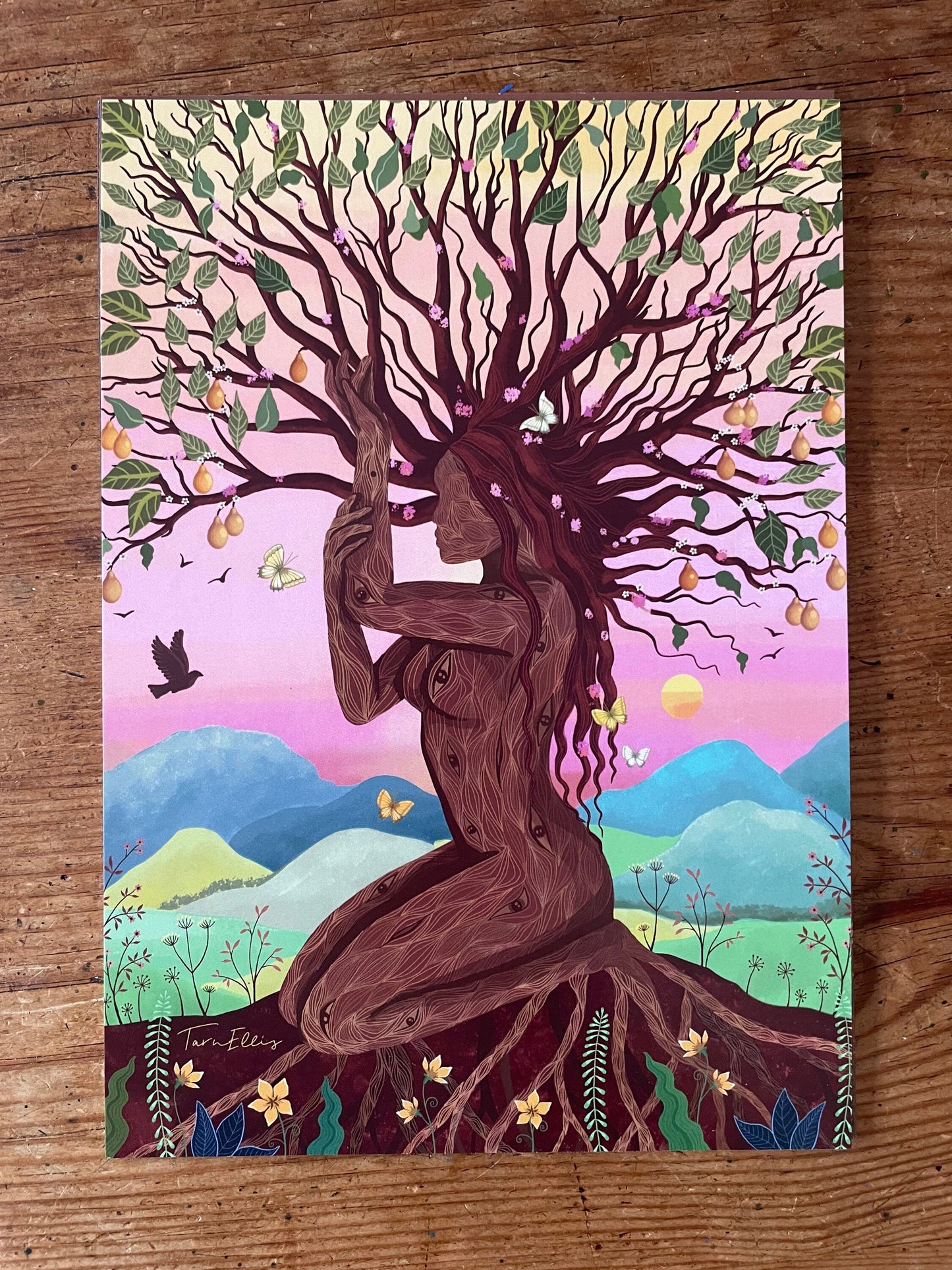 The Earth Collection