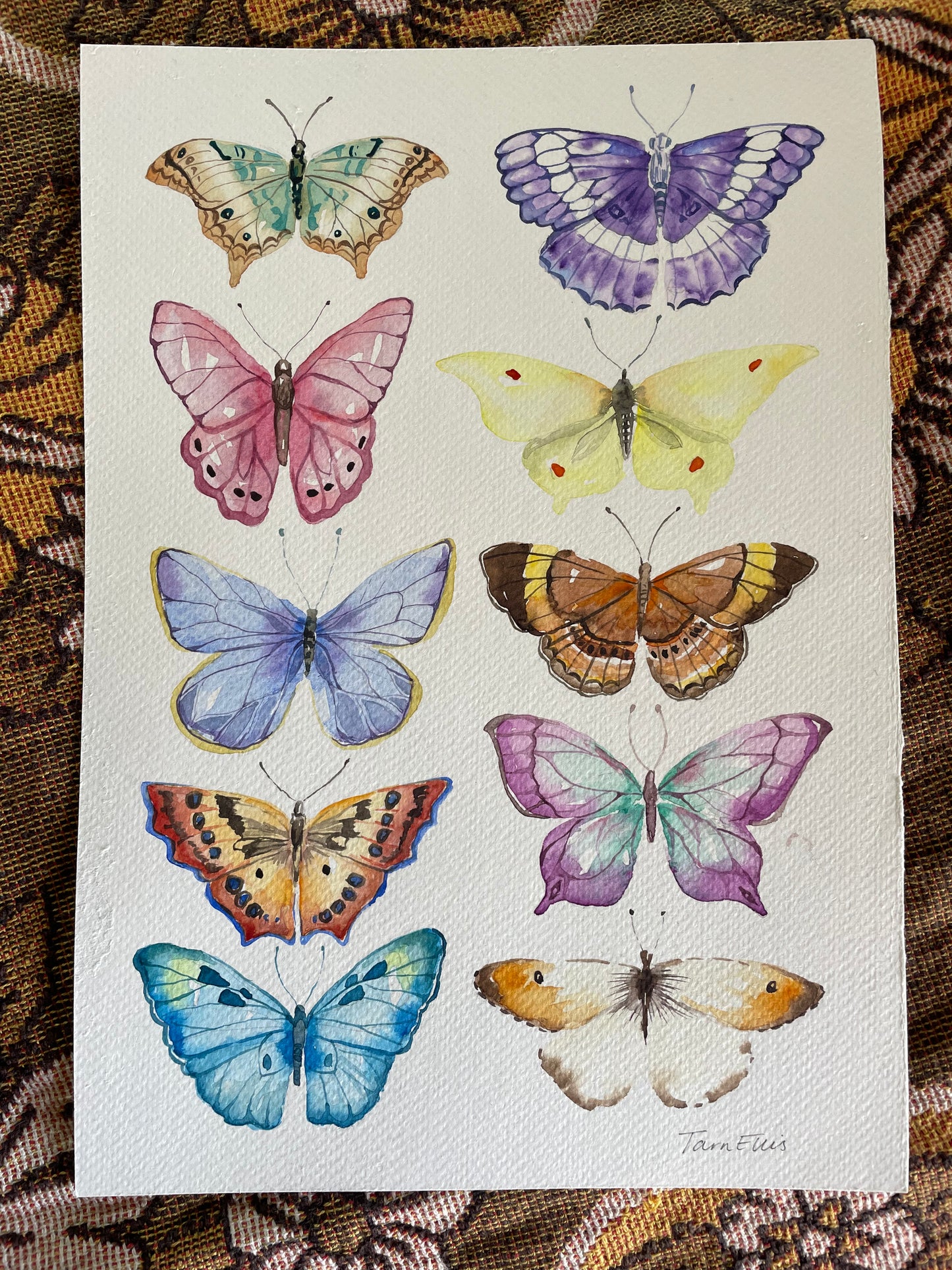 Butterflies