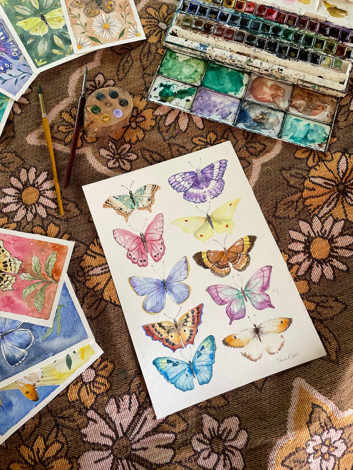 Butterflies
