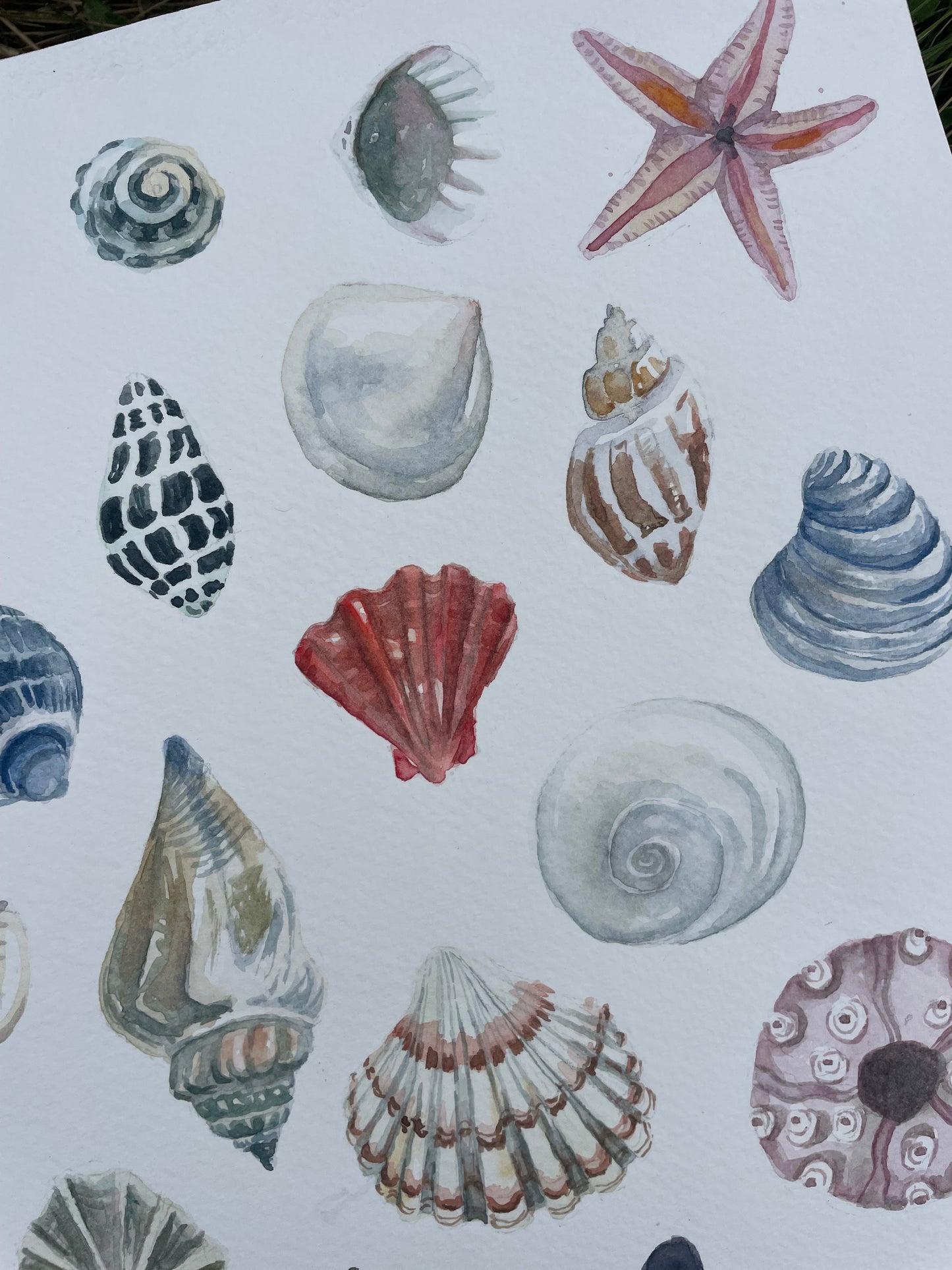 Shells ~ neutral