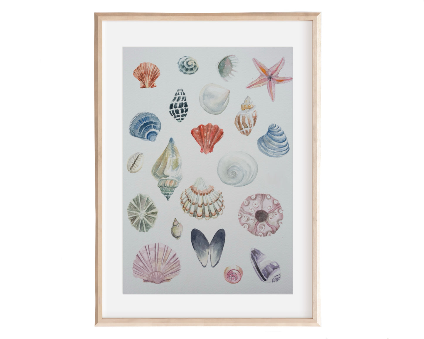 Shells ~ neutral