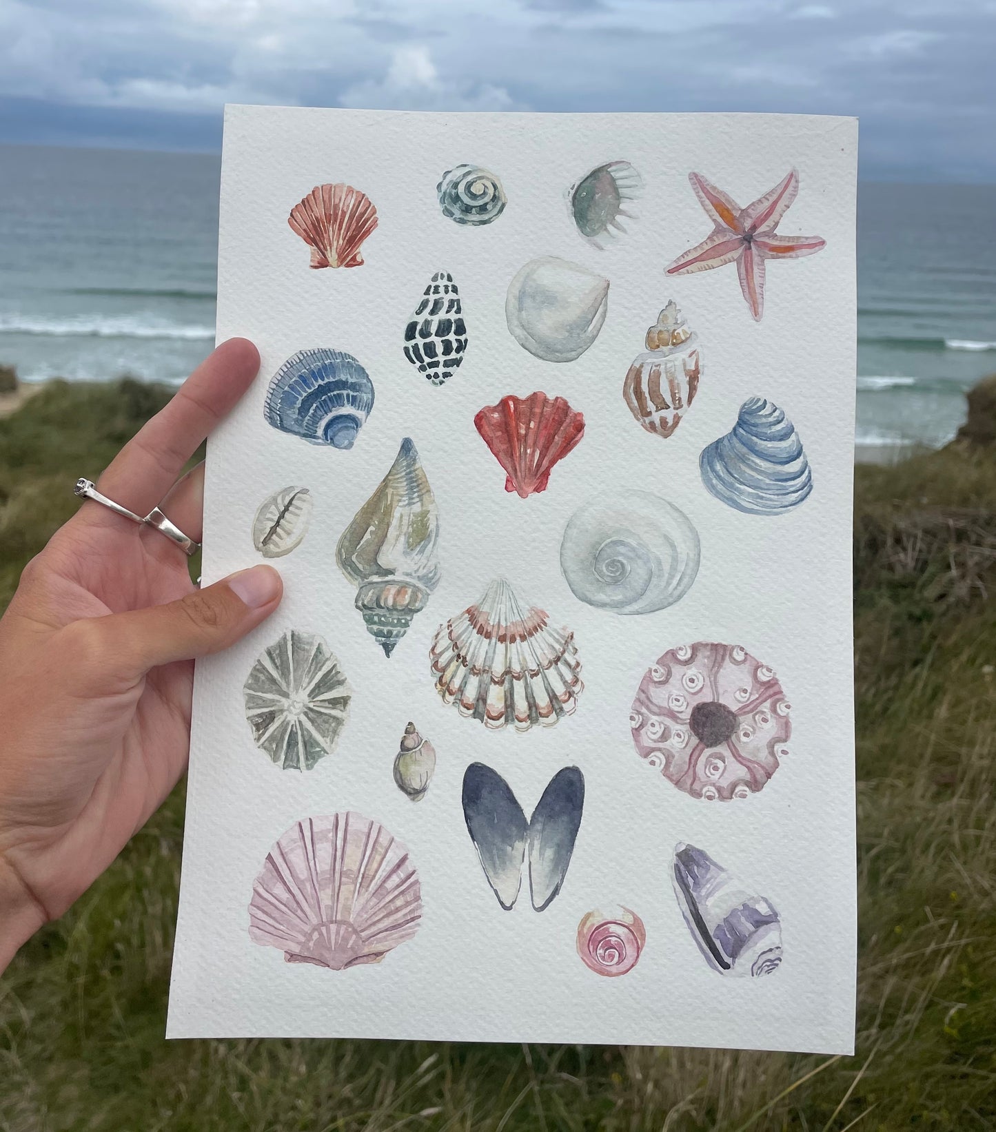 Shells ~ neutral