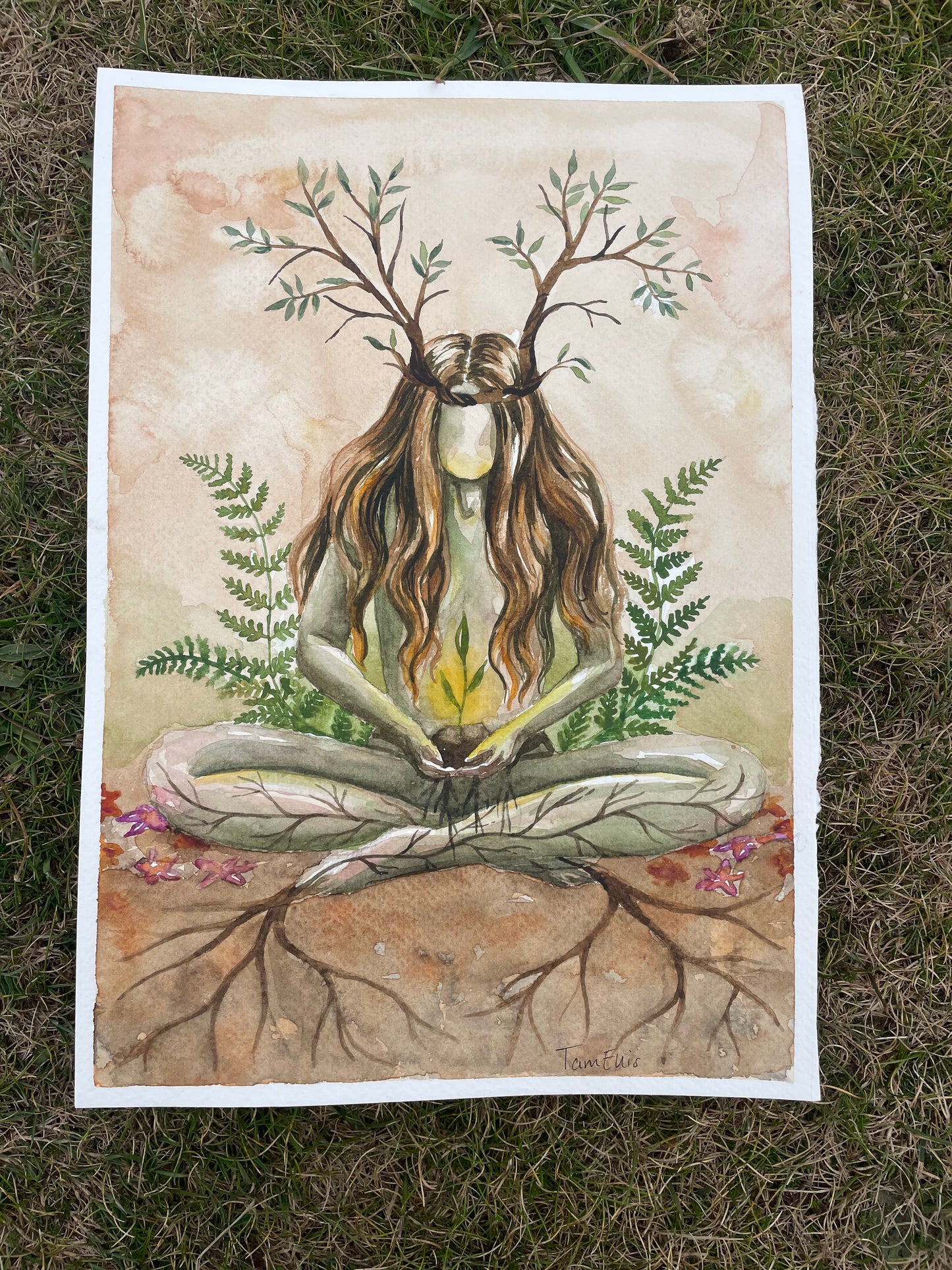 Rooted