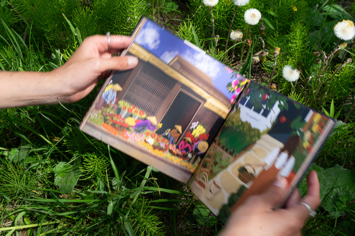 You Are Home Book