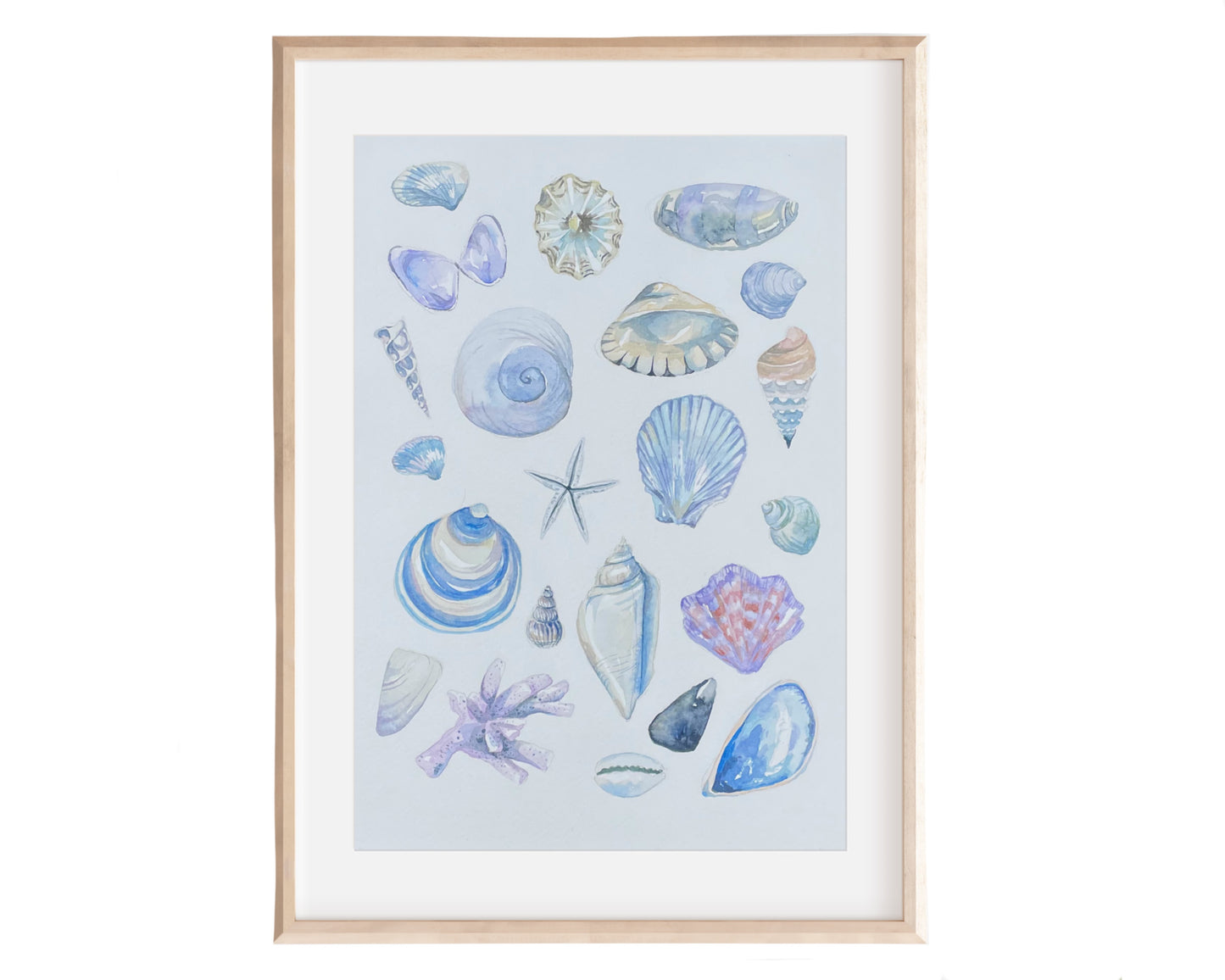 Shells ~ blue