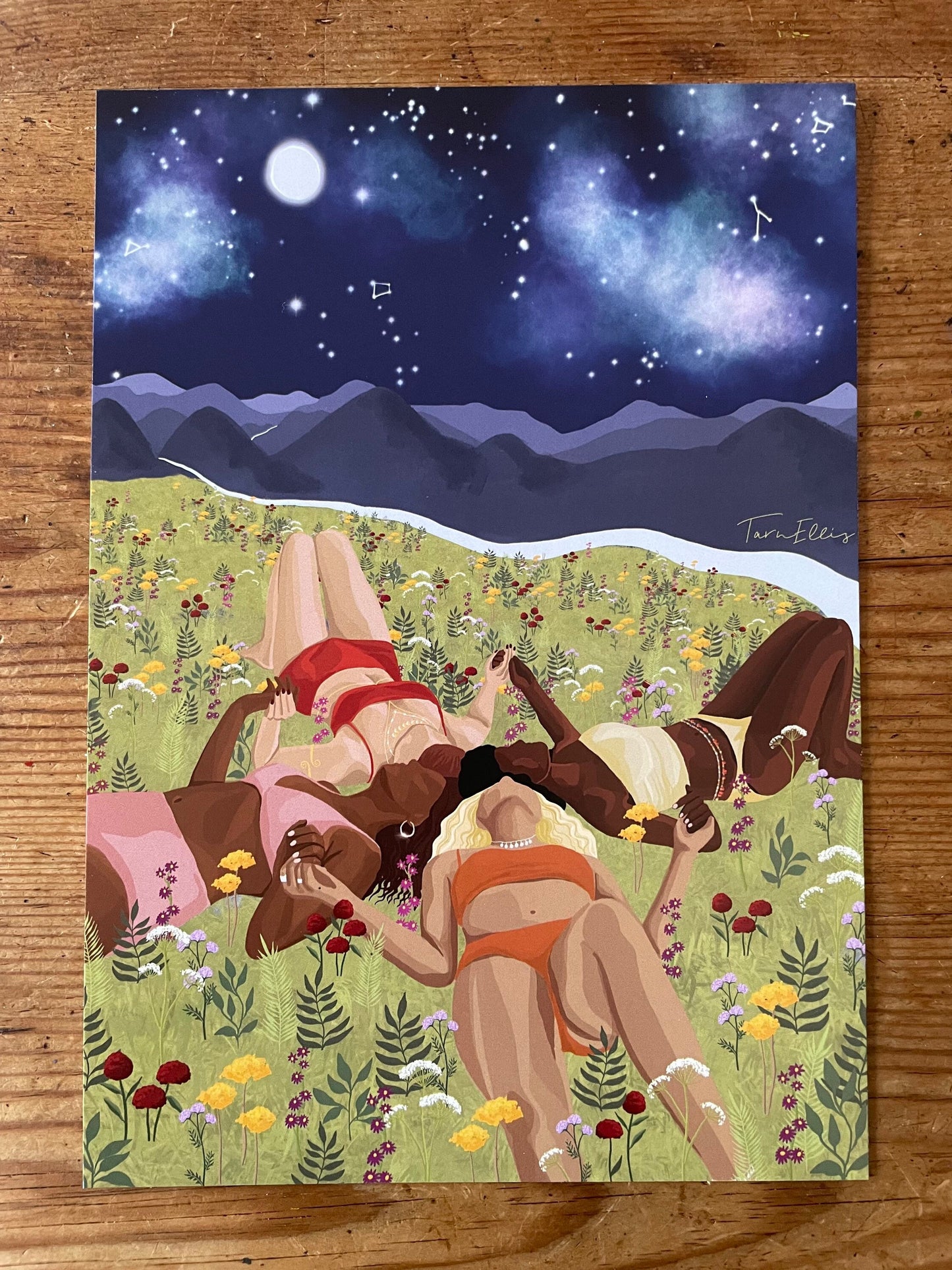 The Dreamy Collection