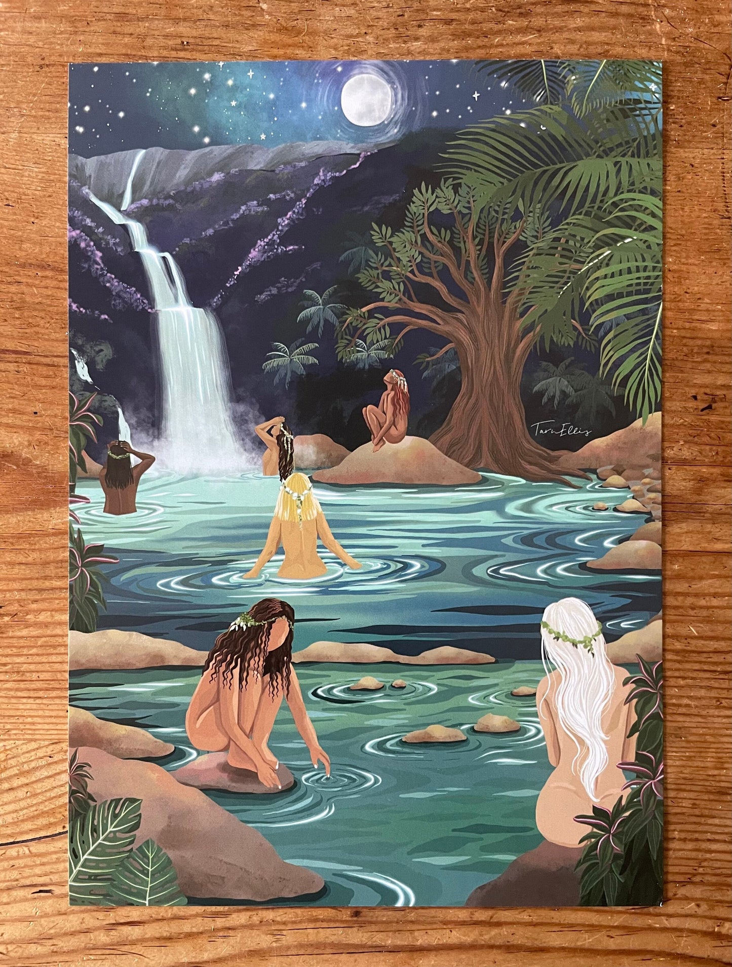 The Dreamy Collection
