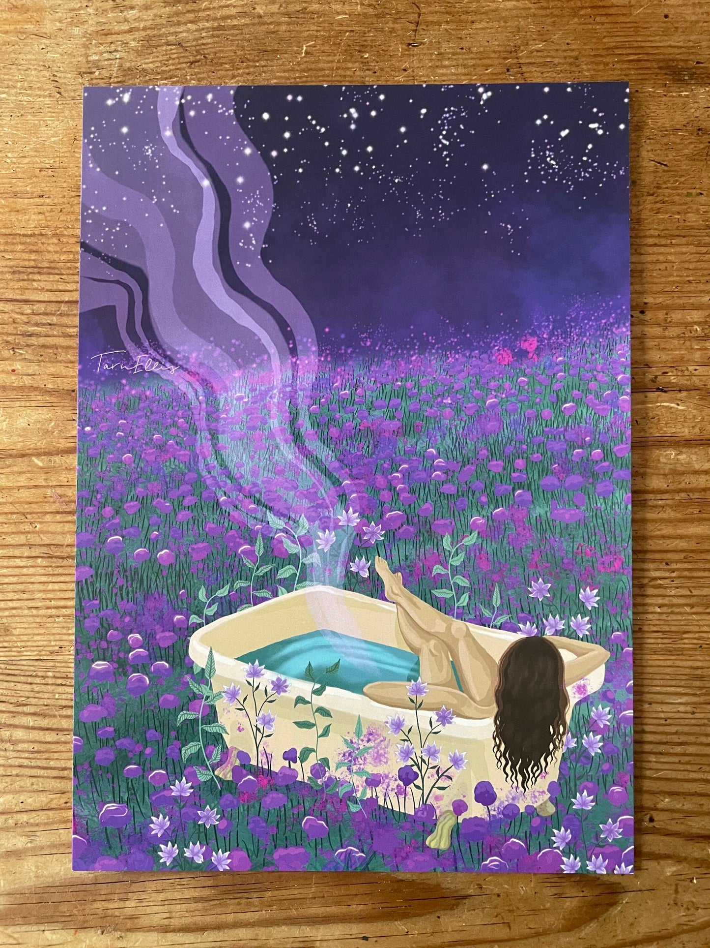 The Dreamy Collection
