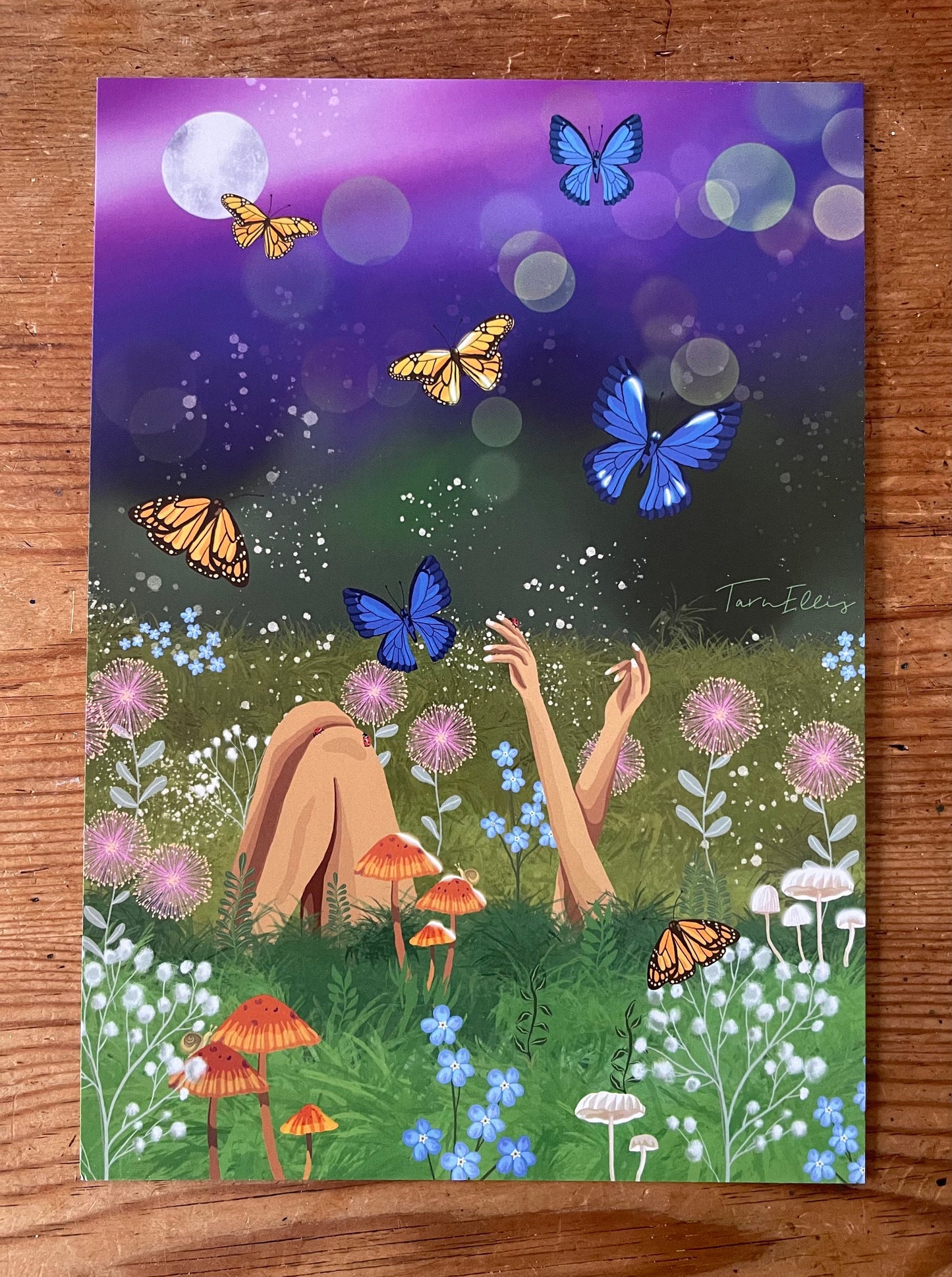 The Dreamy Collection