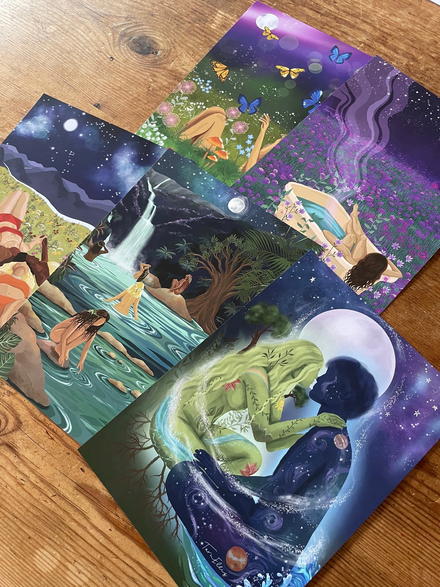 The Dreamy Collection
