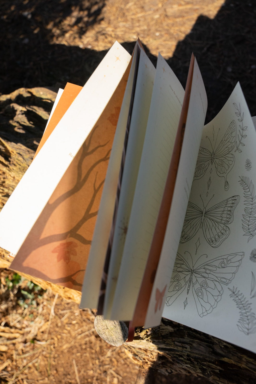 Earth Song Journal