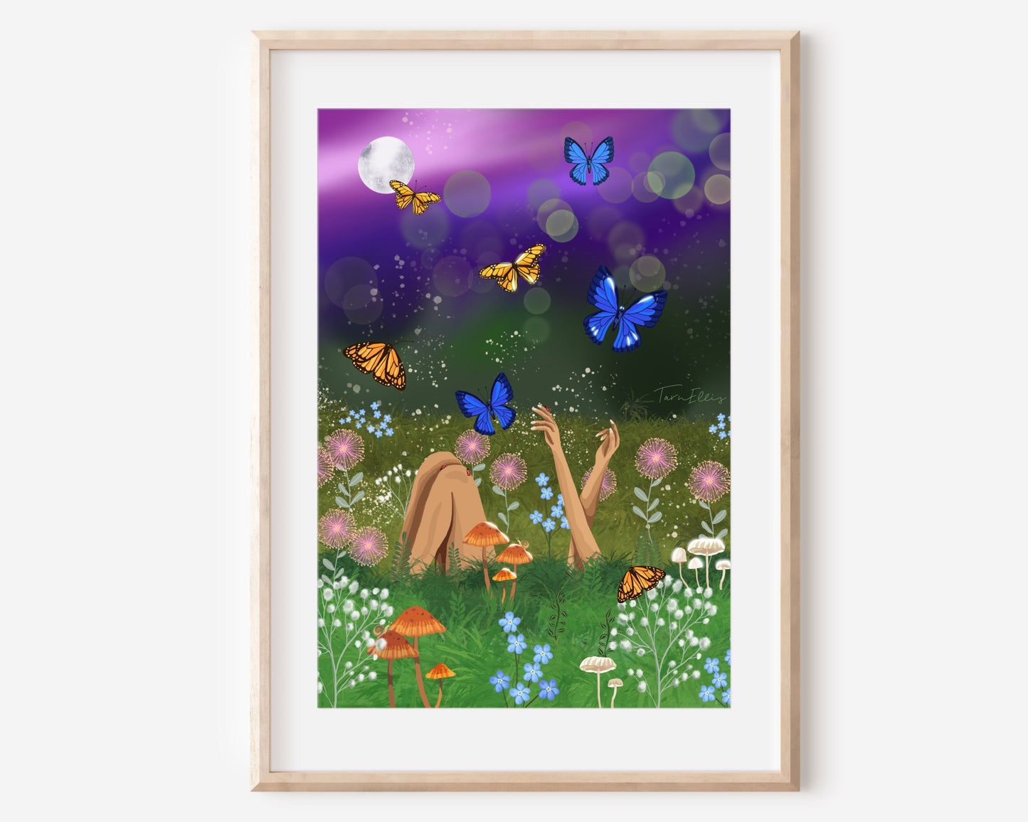 Metamorphosis