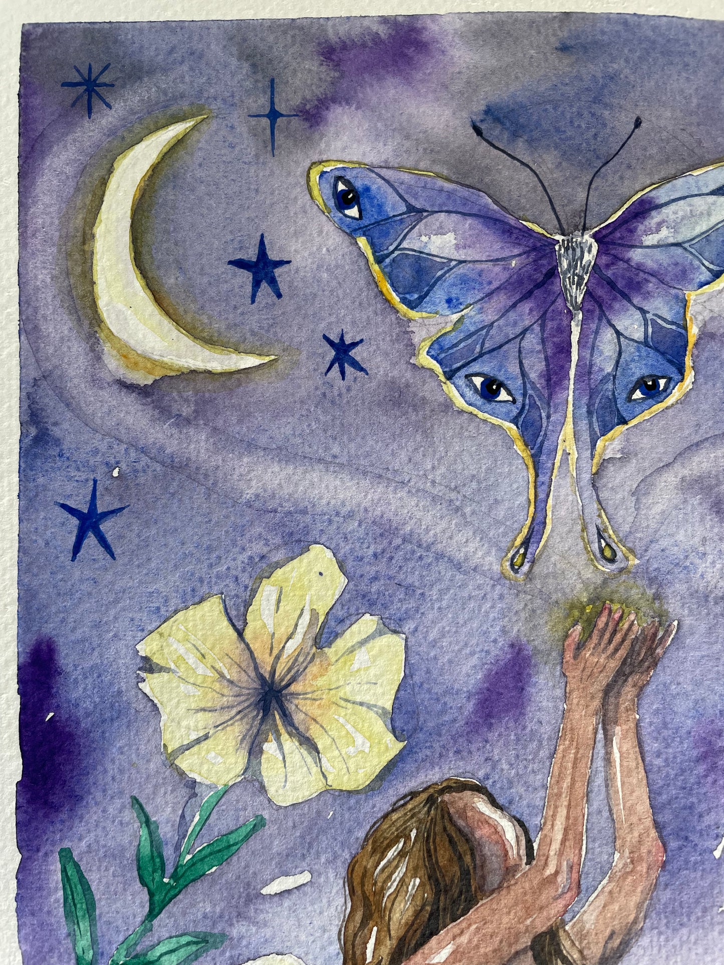 Butterfly spirit