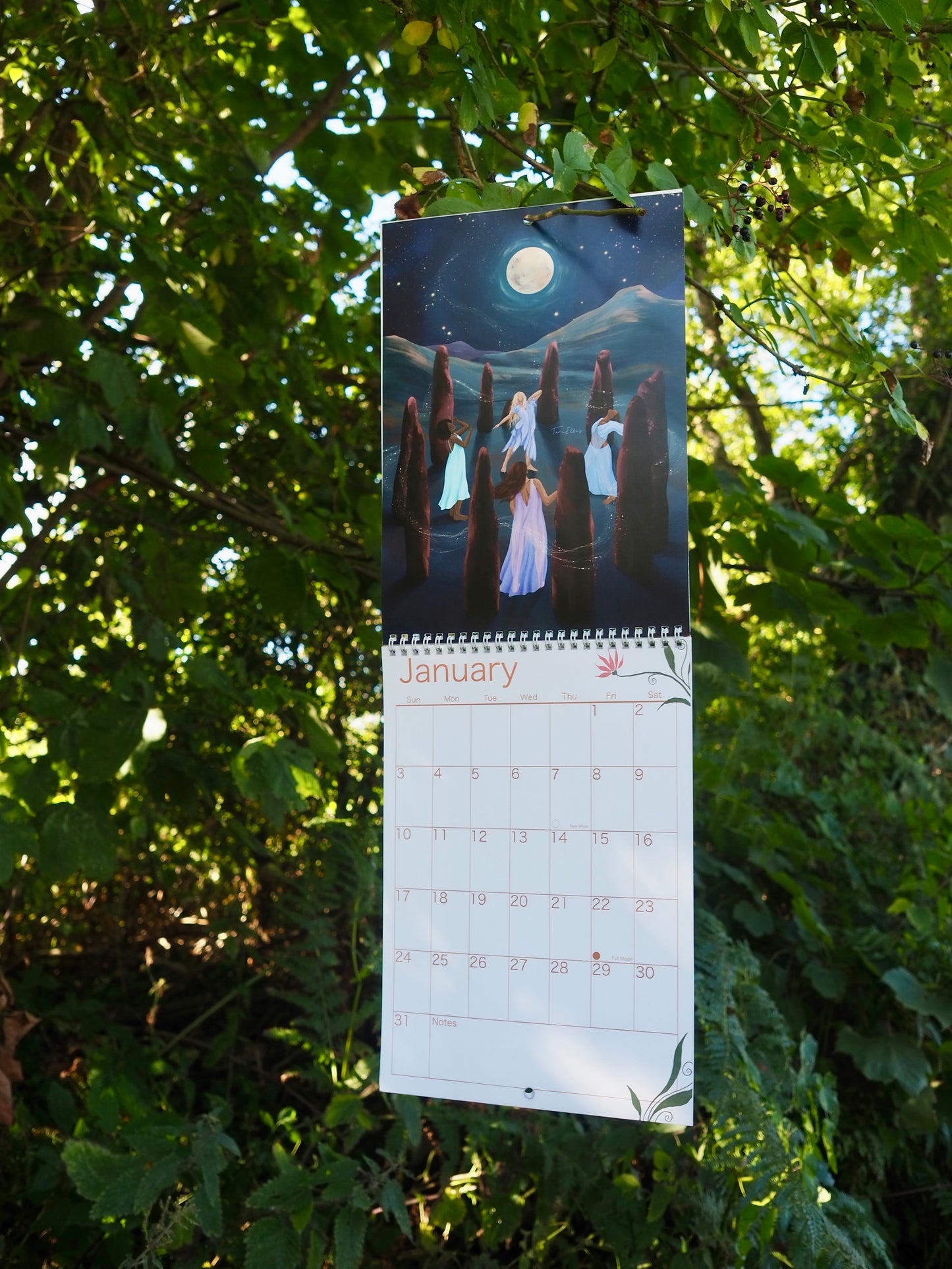 2027 Wall Calendar ~ Natures Sanctuary