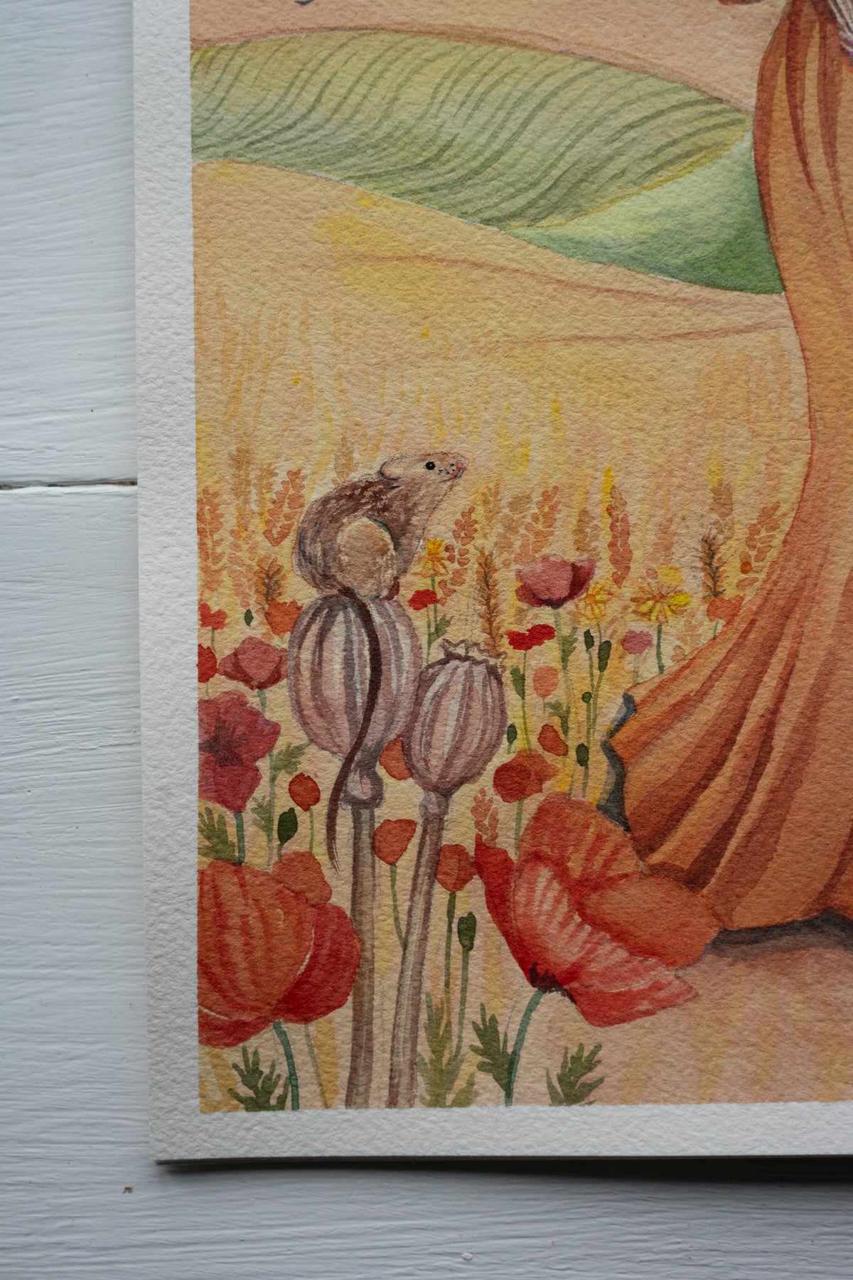 Lammas