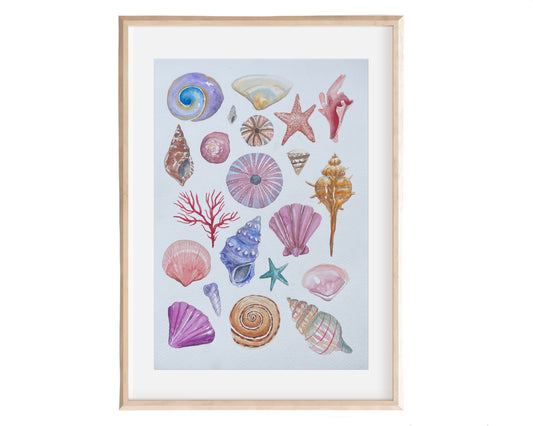 Shells ~ vibrant