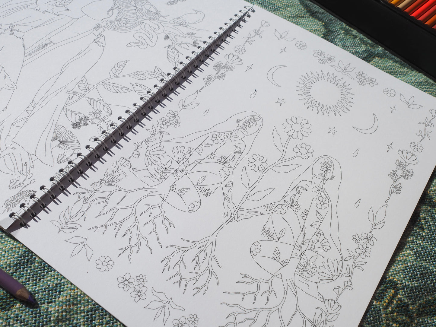 The Tarn Ellis Art Coloring Book