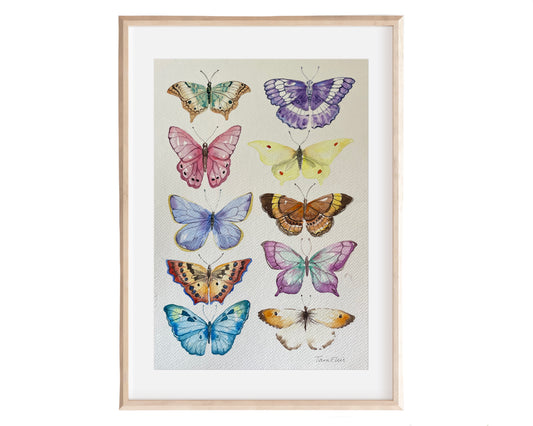 Butterflies