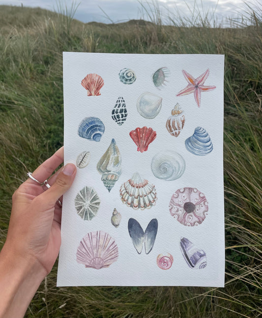 Shells ~ neutral