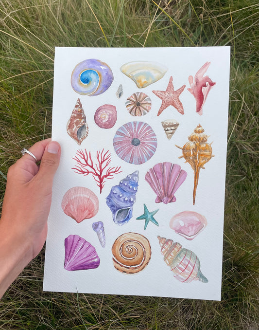 Shells ~ vibrant