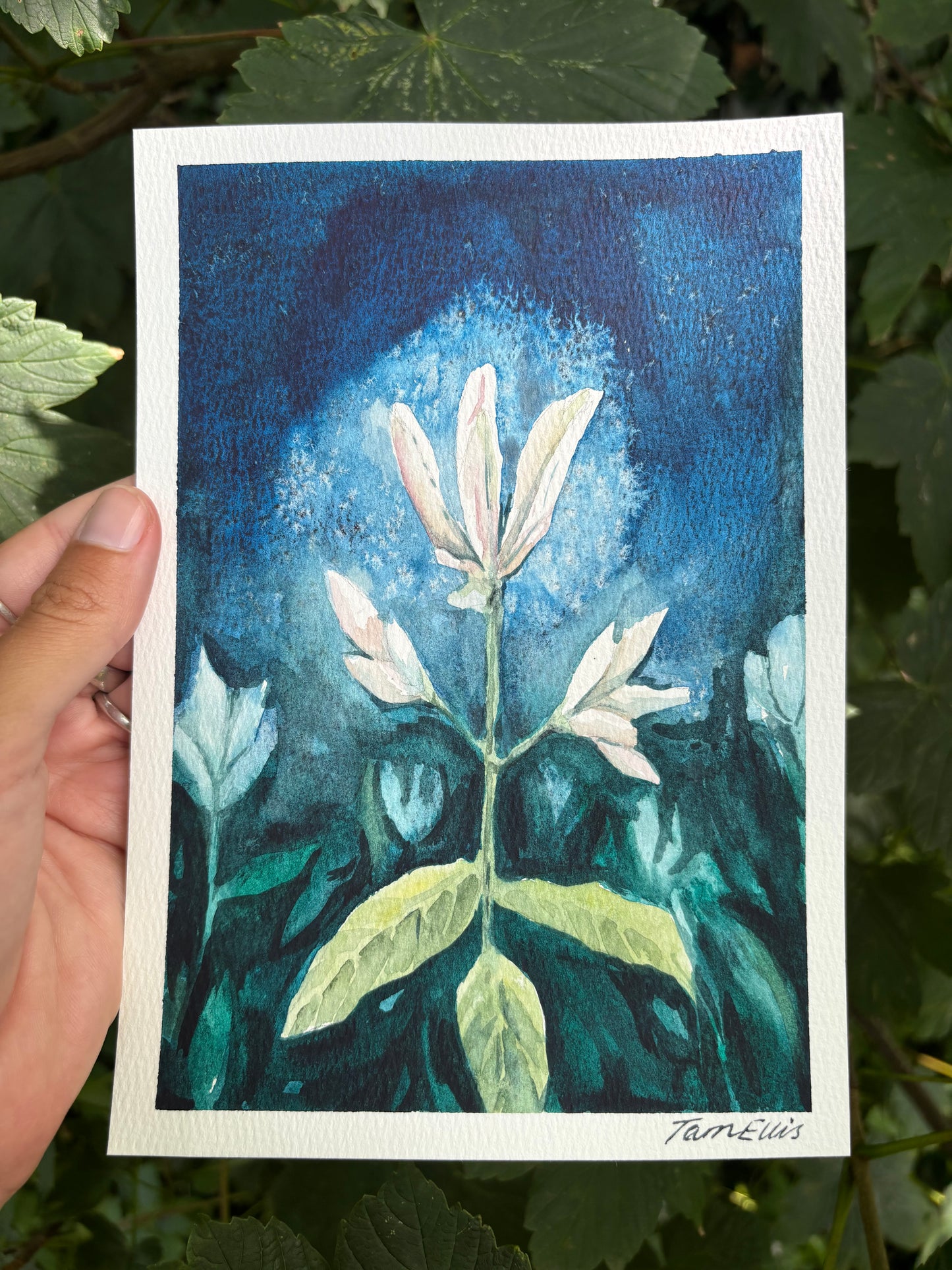 Energy of flower