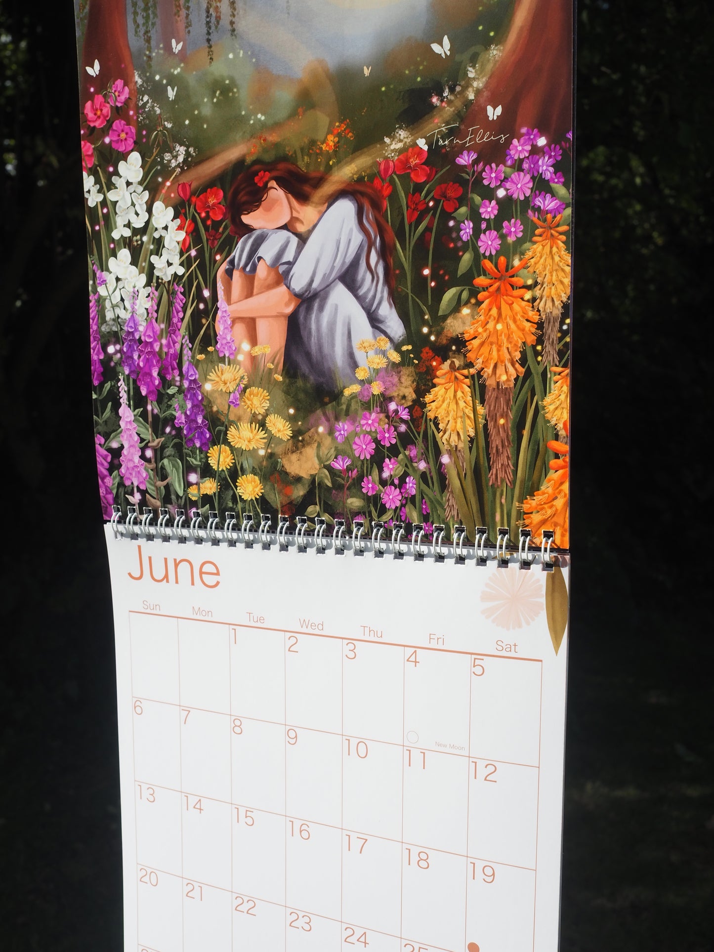 2027 Wall Calendar ~ Natures Sanctuary