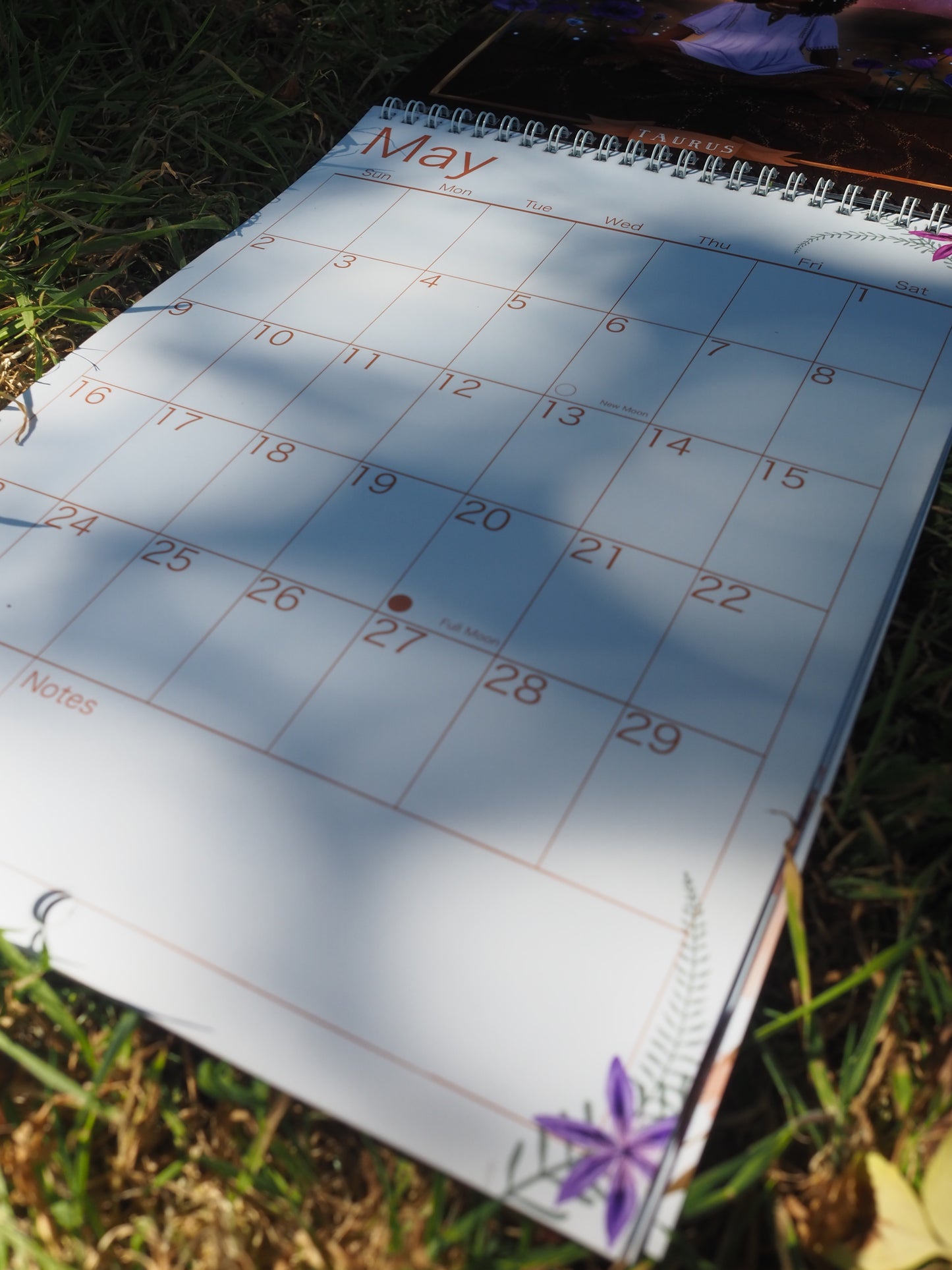 2027 Wall Calendar ~ Star Sign Goddesses