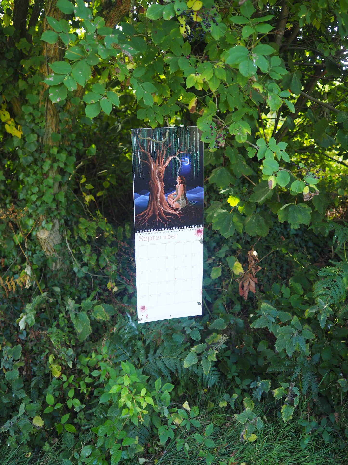 2027 Wall Calendar ~ Natures Sanctuary