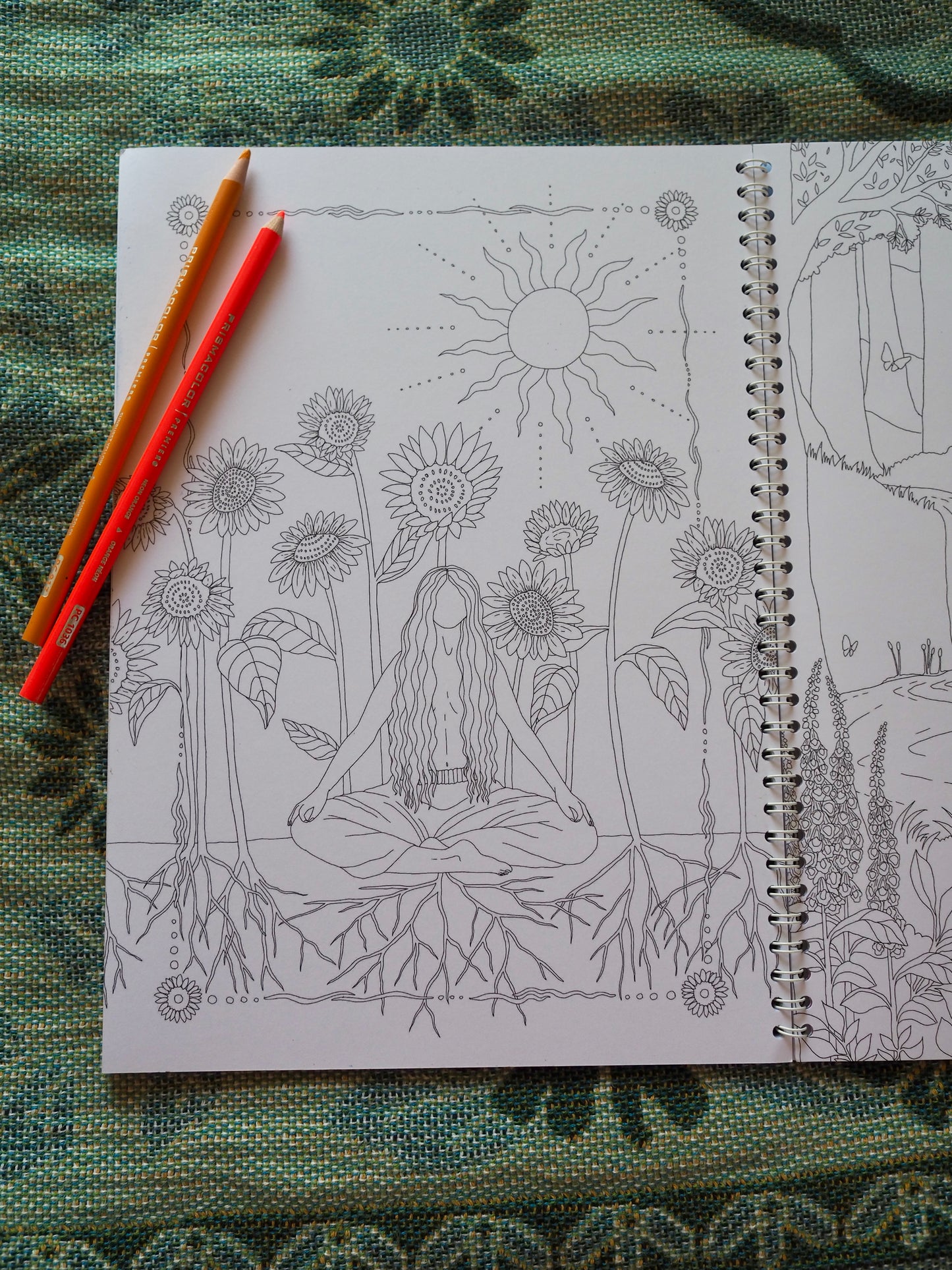 The Tarn Ellis Art Coloring Book