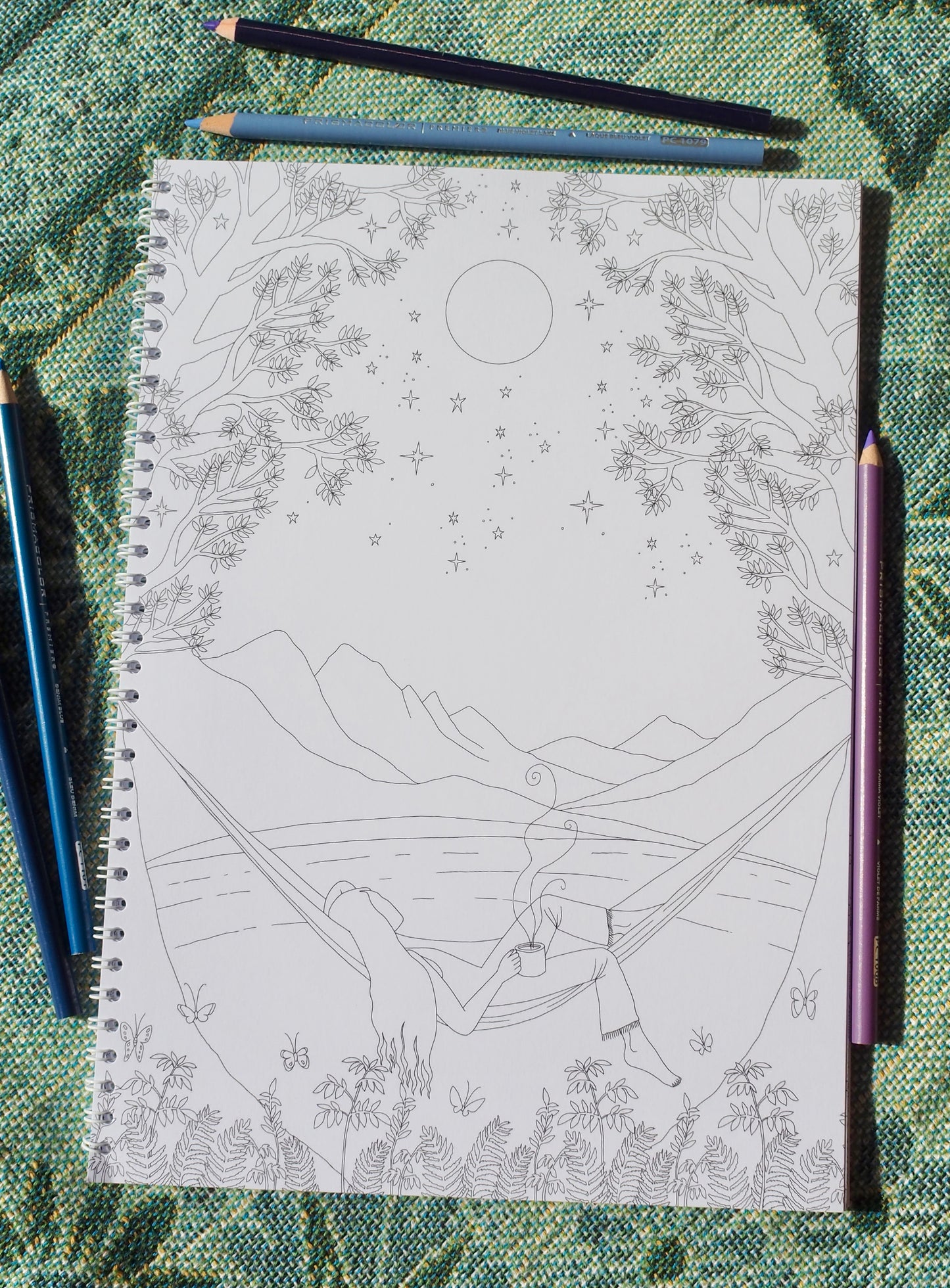 The Tarn Ellis Art Coloring Book