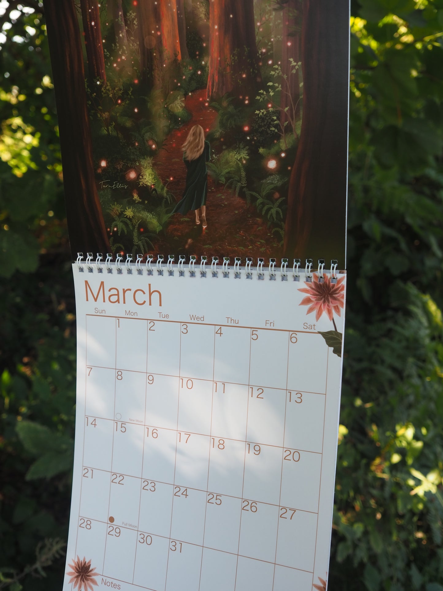 2027 Wall Calendar ~ Natures Sanctuary
