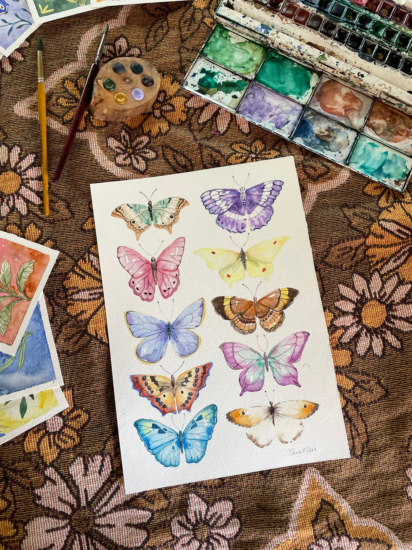 Butterflies