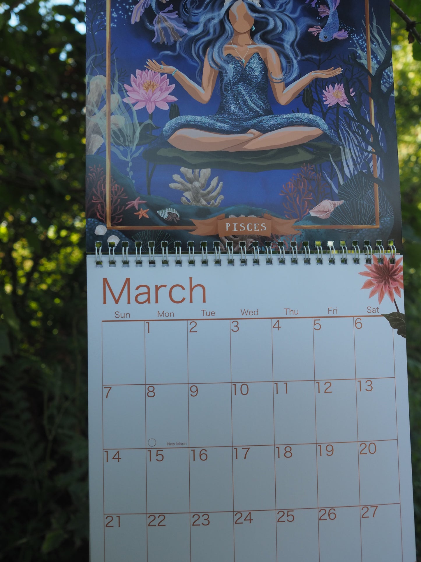 2027 Wall Calendar ~ Star Sign Goddesses