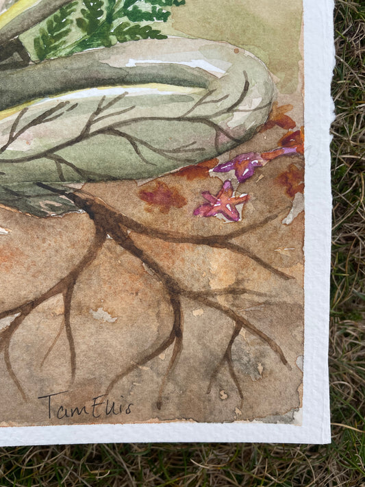 Rooted