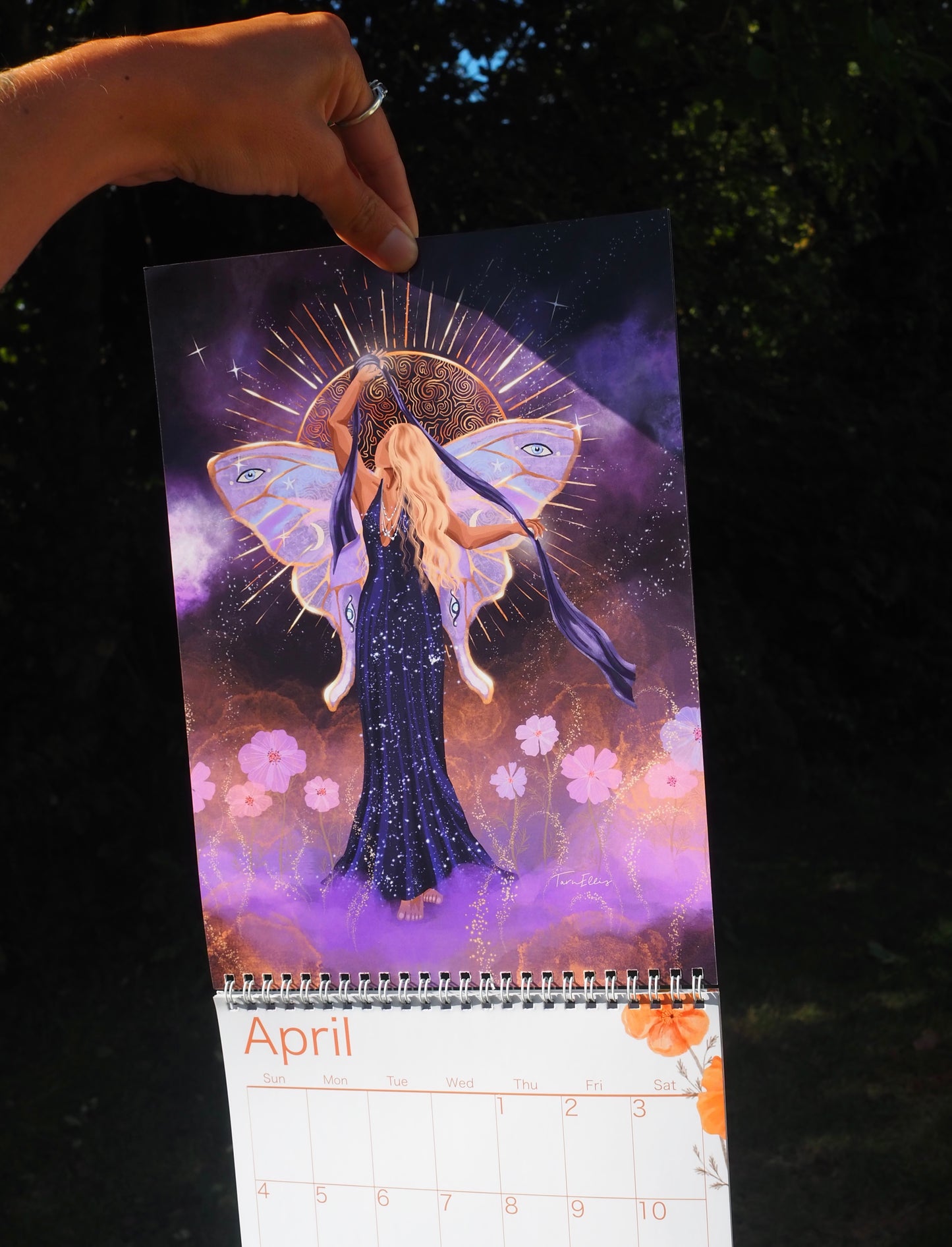 2027 Wall Calendar ~ Natures Sanctuary