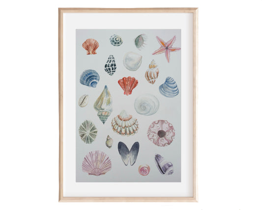 Shells ~ neutral